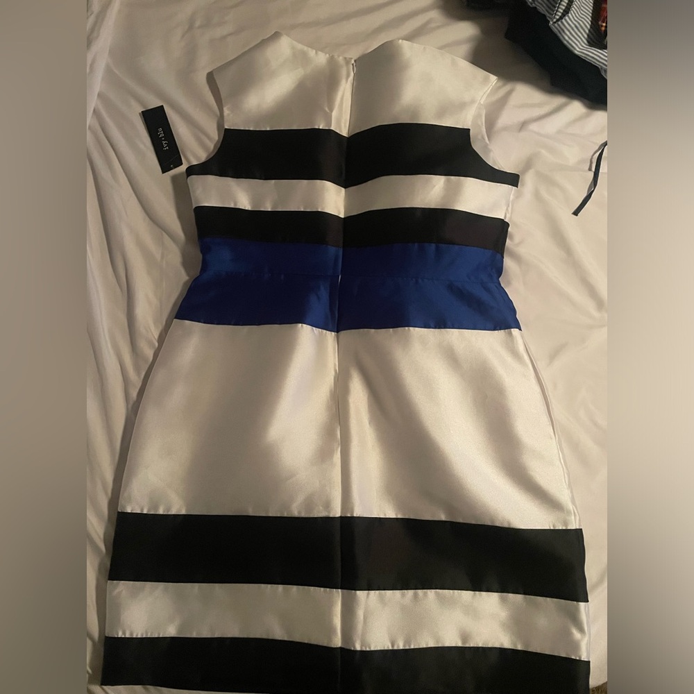 Ivy blue  dress new with tags